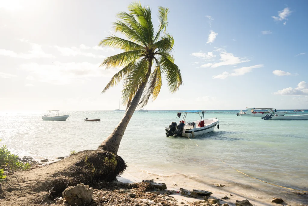 Playa con palmera en República Dominicana