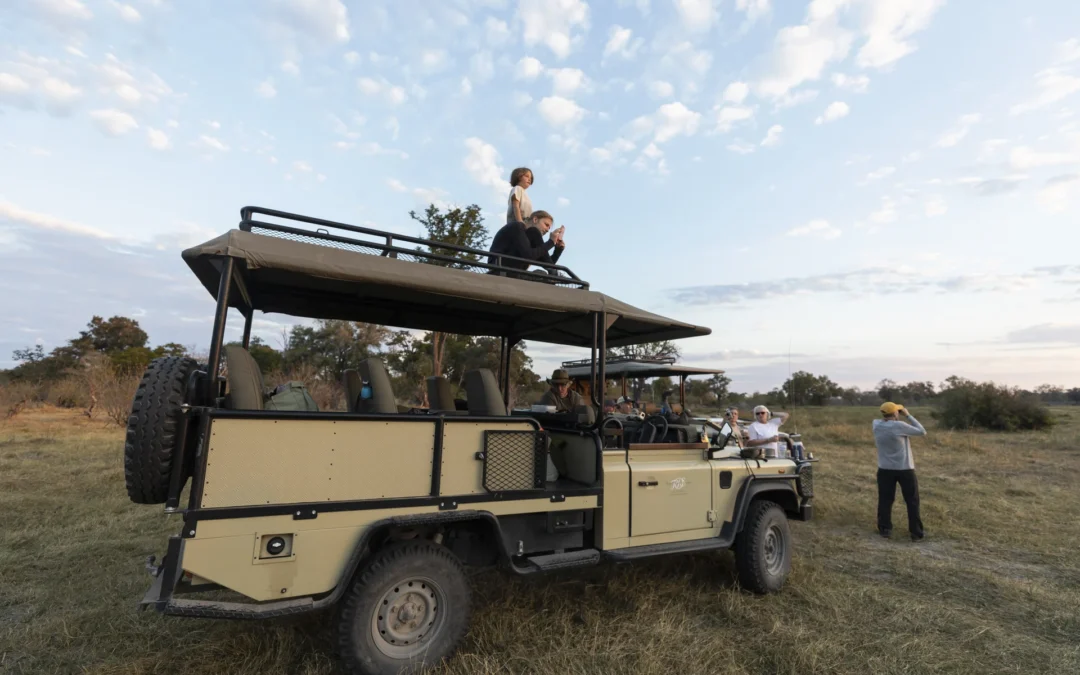 ¿A dónde ir de safari en África?